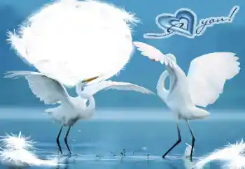 फ़ोटो फ़्रेम पर लेख: I love you!