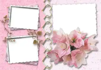 श्रेणी से फ़ोटो प्रभाव प्रेमियों के लिए फ्रेम № 64046