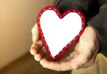 श्रेणी से फ़ोटो प्रभाव प्रेमियों के लिए फ्रेम № 65764 श्रेणी से फ़ोटो प्रभाव प्रेमियों के लिए फ्रेम № 65764