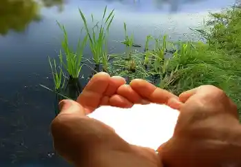 श्रेणी से फ़ोटो प्रभाव प्रेमियों के लिए फ्रेम № 67019 श्रेणी से फ़ोटो प्रभाव प्रेमियों के लिए फ्रेम № 67019