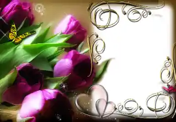 श्रेणी से फ़ोटो प्रभाव प्रेमियों के लिए फ्रेम № 78969 श्रेणी से फ़ोटो प्रभाव प्रेमियों के लिए फ्रेम № 78969