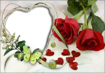 श्रेणी से फ़ोटो प्रभाव प्रेमियों के लिए फ्रेम № 9605 श्रेणी से फ़ोटो प्रभाव प्रेमियों के लिए फ्रेम № 9605