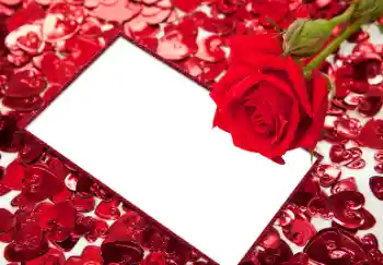 श्रेणी से फ़ोटो प्रभाव प्रेमियों के लिए फ्रेम № 96066 श्रेणी से फ़ोटो प्रभाव प्रेमियों के लिए फ्रेम № 96066