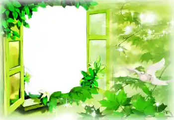 श्रेणी से फ़ोटो प्रभाव प्रेमियों के लिए फ्रेम № 96085 श्रेणी से फ़ोटो प्रभाव प्रेमियों के लिए फ्रेम № 96085