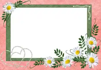 श्रेणी से फ़ोटो प्रभाव प्रेमियों के लिए फ्रेम № 99851 श्रेणी से फ़ोटो प्रभाव प्रेमियों के लिए फ्रेम № 99851