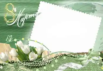 फ़ोटो फ़्रेम पर लेख: महिला दिवस