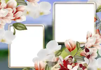 फ़ोटो फ़्रेम पर लेख: महिला दिवस फ़ोटो फ़्रेम पर लेख: महिला दिवस