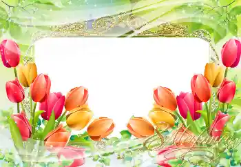 श्रेणी से फ़ोटो प्रभाव 8 मार्च के लिये कार्ड्स № 38595. फ़ोटो फ़्रेम पर लेख: महिला दिवस