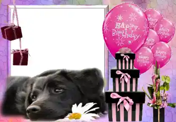 फ़ोटो फ़्रेम पर लेख: Happy Birthday!