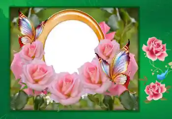 फ़ोटो फ़्रेम पर लेख: Happy anniversary!