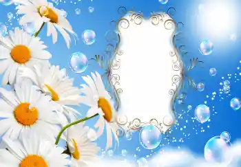 फ़ोटो फ़्रेम पर लेख: Happy anniversary!