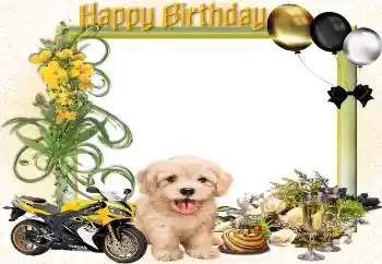 फ़ोटो फ़्रेम पर लेख: जन्मदिन मुबारक!