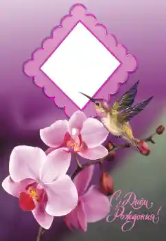 फ़ोटो फ़्रेम पर लेख: जन्मदिन मुबारक!