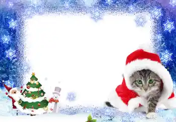 श्रेणी से फ़ोटो प्रभाव नए साल के लिए कार्ड्स № 17139 श्रेणी से फ़ोटो प्रभाव नए साल के लिए कार्ड्स № 17139