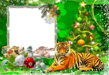 श्रेणी से फ़ोटो प्रभाव नए साल के लिए कार्ड्स № 194162 श्रेणी से फ़ोटो प्रभाव नए साल के लिए कार्ड्स № 194162