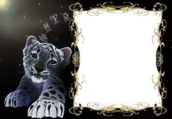 श्रेणी से फ़ोटो प्रभाव नए साल के लिए कार्ड्स № 194172 श्रेणी से फ़ोटो प्रभाव नए साल के लिए कार्ड्स № 194172