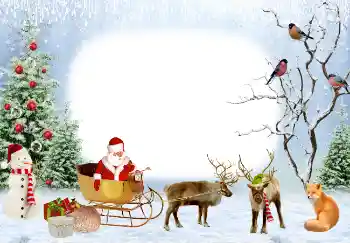 श्रेणी से फ़ोटो प्रभाव नए साल के लिए कार्ड्स № 3328