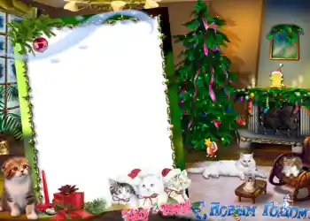 श्रेणी से फ़ोटो प्रभाव नए साल के लिए कार्ड्स № 616