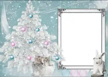 श्रेणी से फ़ोटो प्रभाव नए साल के लिए कार्ड्स № 625