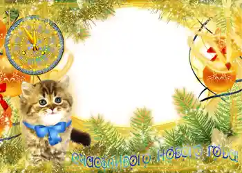 श्रेणी से फ़ोटो प्रभाव नए साल के लिए कार्ड्स № 629