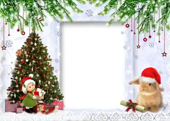 श्रेणी से फ़ोटो प्रभाव नए साल के लिए कार्ड्स № 641