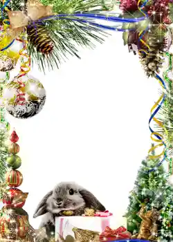 श्रेणी से फ़ोटो प्रभाव नए साल के लिए कार्ड्स № 649