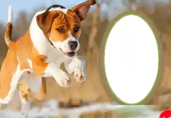 फ़ोटो फ़्रेम पर लेख: नया साल मुबारक!