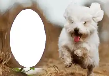 फ़ोटो फ़्रेम पर लेख: नया साल मुबारक!