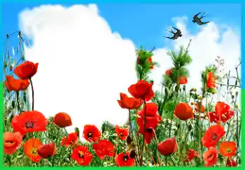 फ़ोटो फ़्रेम पर लेख: Victory in Europe Day