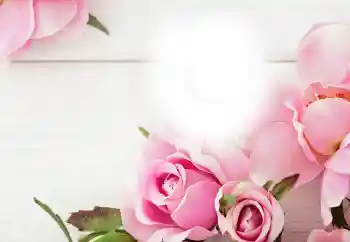 श्रेणी से फ़ोटो प्रभाव विभिन्न त्योहार № 115983