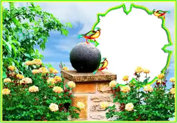 फ़ोटो फ़्रेम पर लेख: बधाई हो!