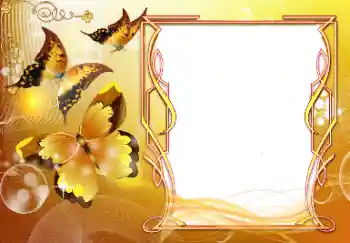 फ़ोटो फ़्रेम पर लेख: बधाई हो!