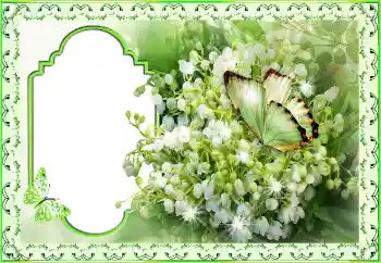 फ़ोटो फ़्रेम पर लेख: बधाई हो!