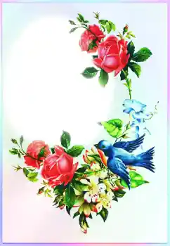 फ़ोटो फ़्रेम पर लेख: बधाई हो!