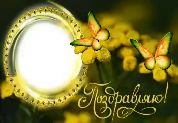 फ़ोटो फ़्रेम पर लेख: बधाई हो!