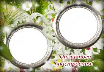 फ़ोटो फ़्रेम पर लेख: Excellent mood!