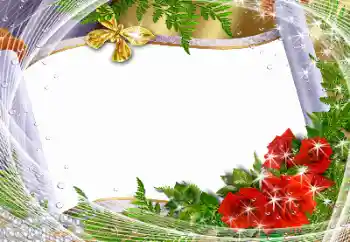 श्रेणी से फ़ोटो प्रभाव विभिन्न त्योहार № 141158