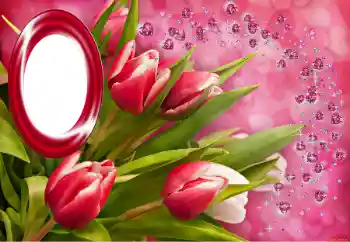 श्रेणी से फ़ोटो प्रभाव विभिन्न त्योहार № 150549