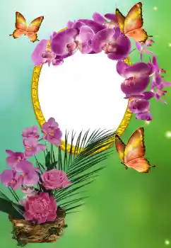 श्रेणी से फ़ोटो प्रभाव विभिन्न त्योहार № 150615