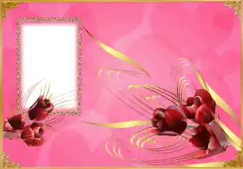 श्रेणी से फ़ोटो प्रभाव विभिन्न त्योहार № 150620