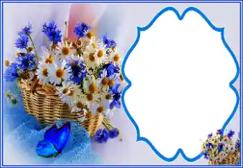 श्रेणी से फ़ोटो प्रभाव विभिन्न त्योहार № 151810 श्रेणी से फ़ोटो प्रभाव विभिन्न त्योहार № 151810