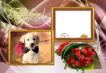 फ़ोटो फ़्रेम पर लेख: बधाई हो!