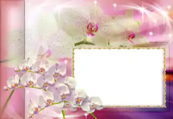 श्रेणी से फ़ोटो प्रभाव विभिन्न त्योहार № 153160