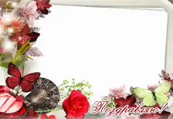 फ़ोटो फ़्रेम पर लेख: बधाई हो!