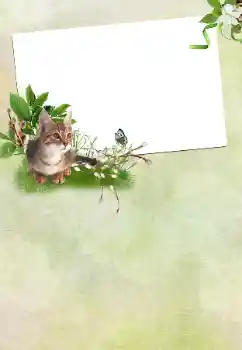 श्रेणी से फ़ोटो प्रभाव विभिन्न त्योहार № 167762