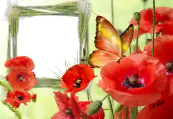 फ़ोटो फ़्रेम पर लेख: Victory in Europe Day