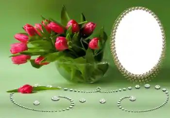 श्रेणी से फ़ोटो प्रभाव विभिन्न त्योहार № 169026