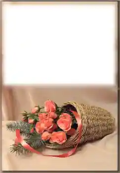 श्रेणी से फ़ोटो प्रभाव विभिन्न त्योहार № 171774