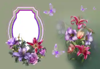 फ़ोटो फ़्रेम पर लेख: बधाई हो!