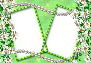 श्रेणी से फ़ोटो प्रभाव विभिन्न त्योहार № 189406